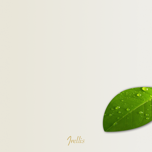 Januar hos Irellis: Å velge mening fremfor mer 🌿