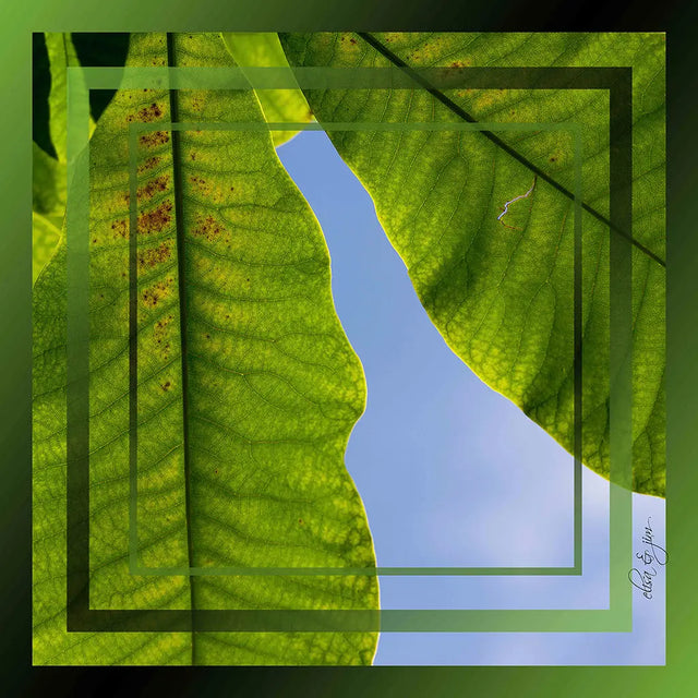 Lite silkeskjerf med firkantet mønster, bandana, vegetabilsk mønster