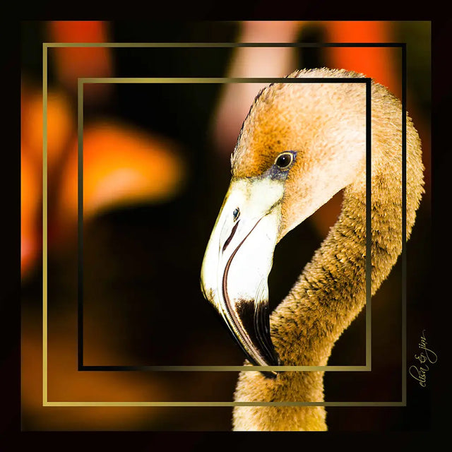 Lite silkeskjerf med firkantet mønster, bandana og flamingomønster